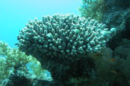 20000829_Erg_Sabrina_0006